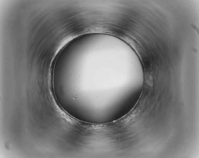 X0000098091147200804181229