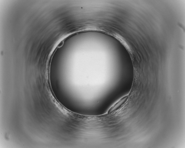 X0000098091148200804181229