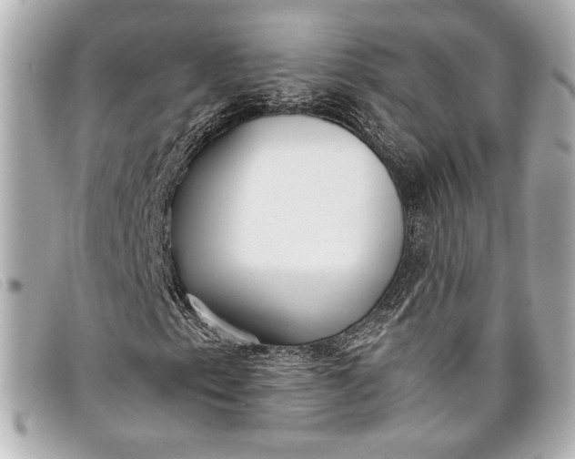 X0000098091153200804181228