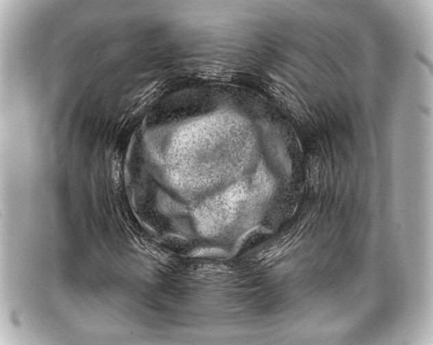 X0000098091154200804181228