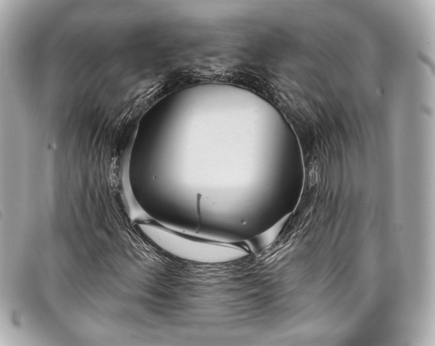 X0000098091156200804181228
