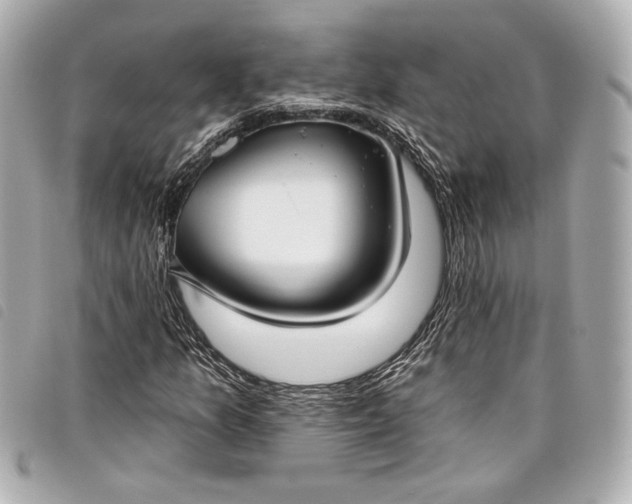 X0000098091157200804181228
