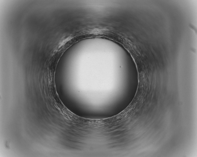 X0000098091158200804181228