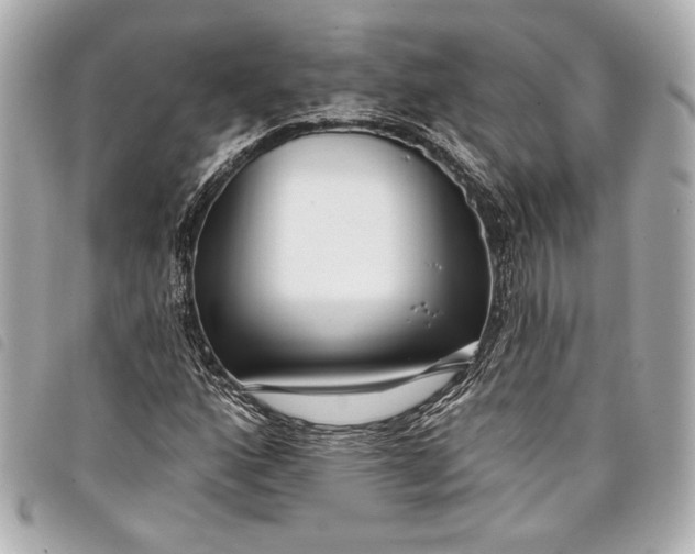 X0000098091160200804181228