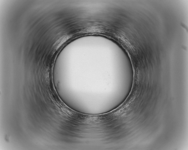 X0000098091162200804181228