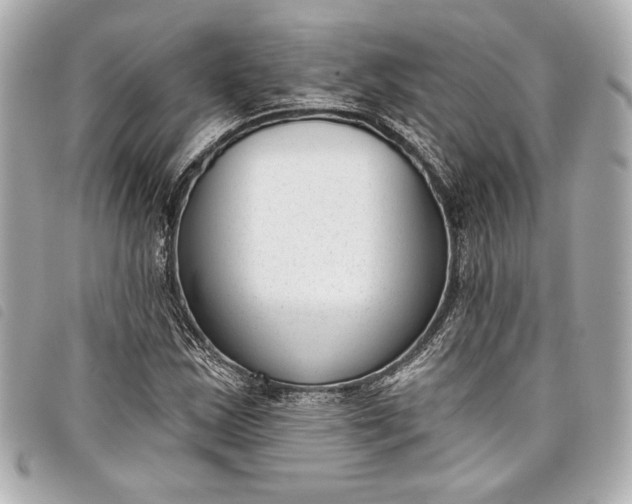 X0000098091163200804181228
