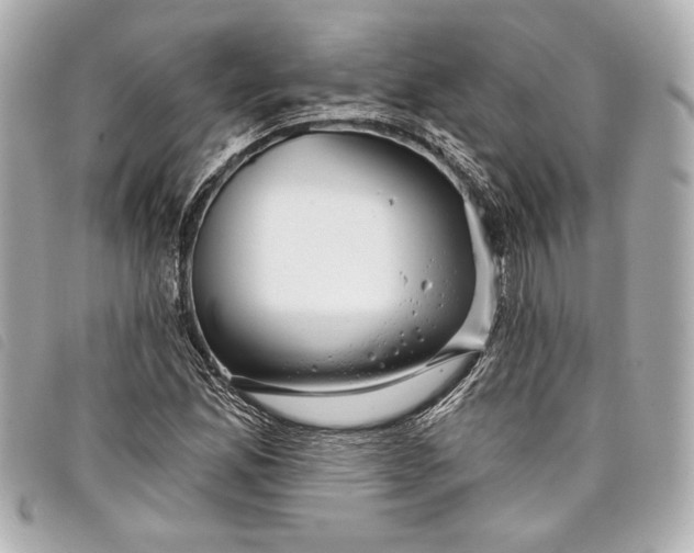 X0000098091165200804181228