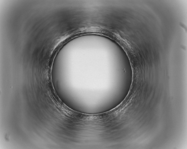 X0000098091166200804181228