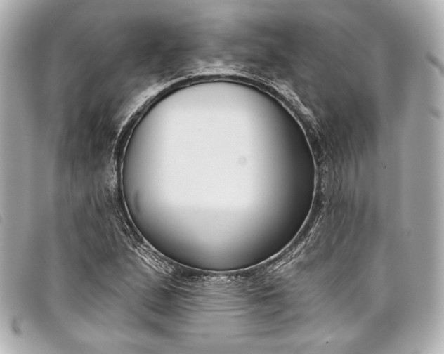 X0000098091167200804181228