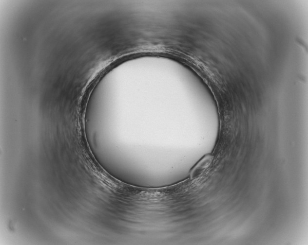 X0000098091168200804181228