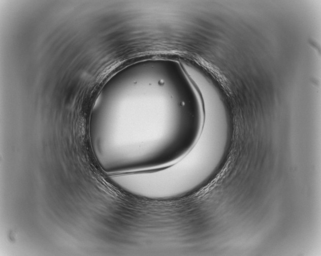 X0000098091169200804181228