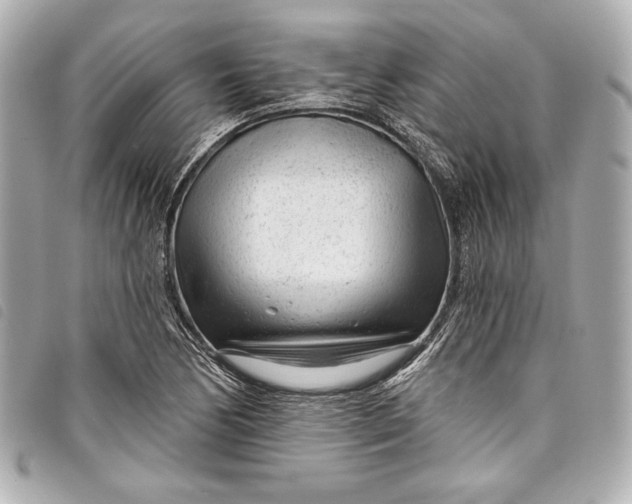 X0000098091170200804181228
