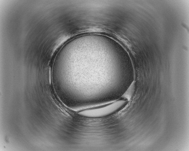 X0000098091171200804181228