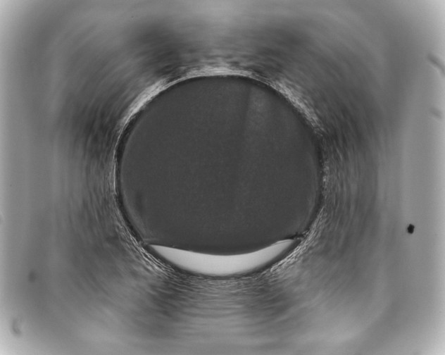X0000098091173200804181228