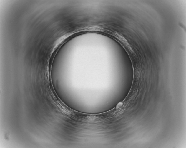 X0000098091176200804181228