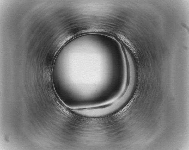 X0000098091177200804181228