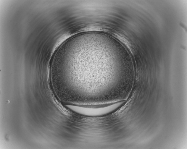 X0000098091179200804181227