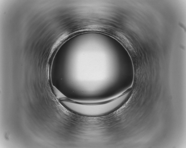 X0000098091180200804181227