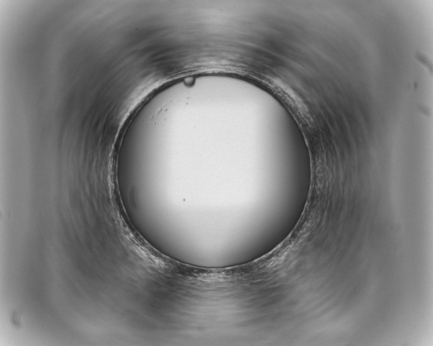X0000098091182200804181227