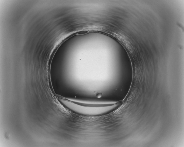 X0000098091184200804181227