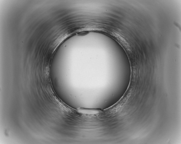X0000098091185200804181227