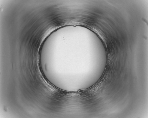 X0000098091187200804181227