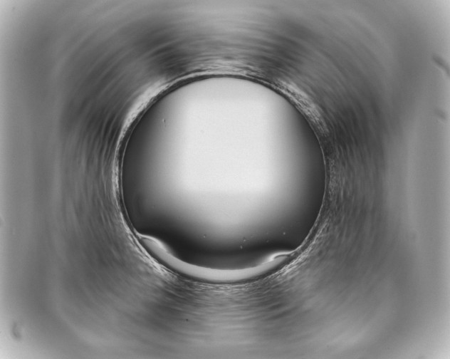 X0000098091188200804181227