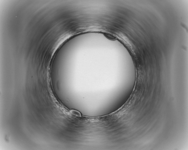 X0000098091190200804181227