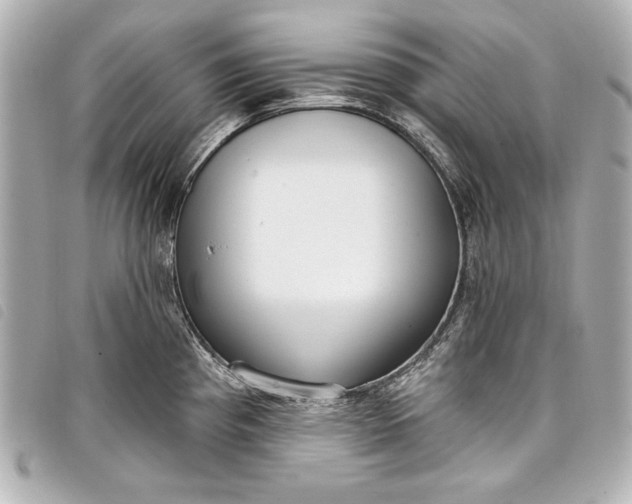 X0000098091193200804181227