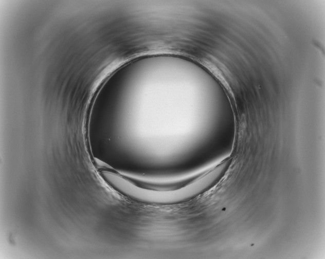 X0000098091197200804181227