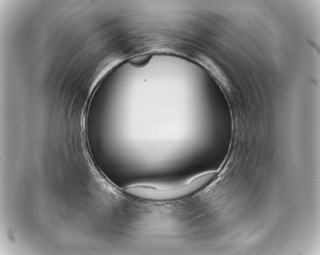 X0000098091198200804181227