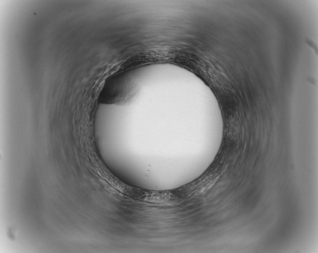 X0000098091201200804181226