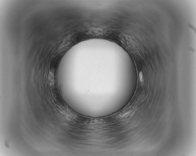 X0000098091203200804181226