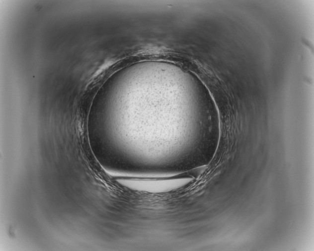 X0000098091206200804181226
