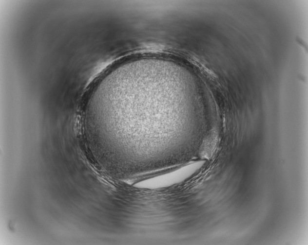 X0000098091208200804181226