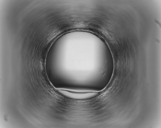X0000098091209200804181226