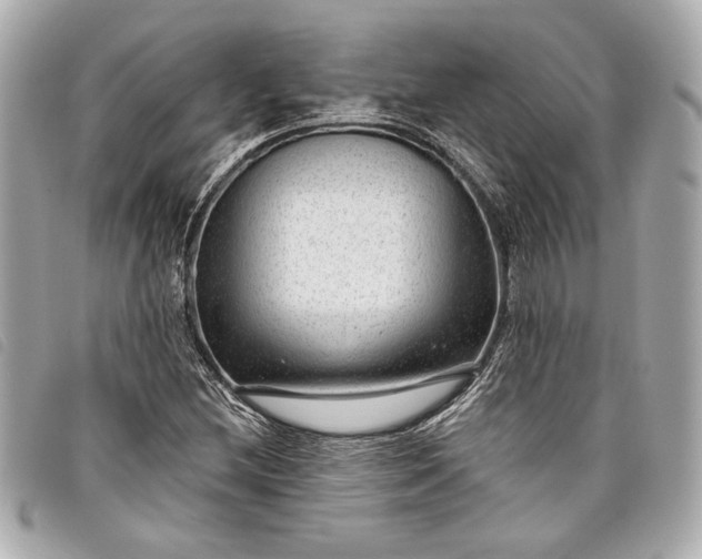 X0000098091212200804181226