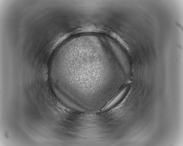 X0000098091213200804181226