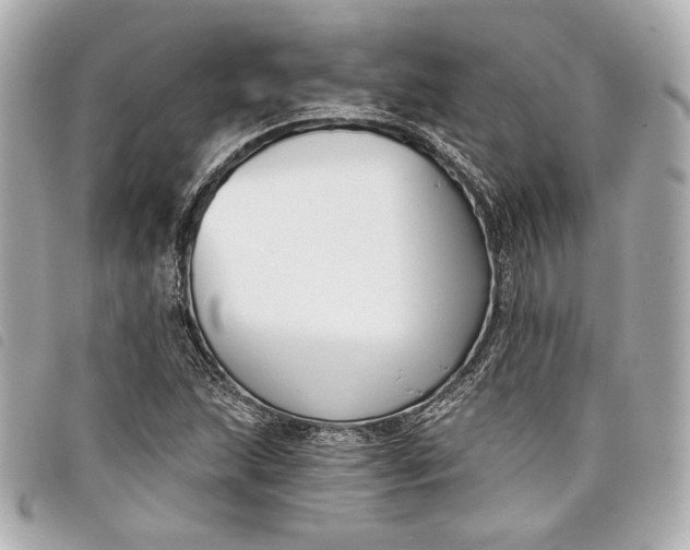 X0000098091215200804181226