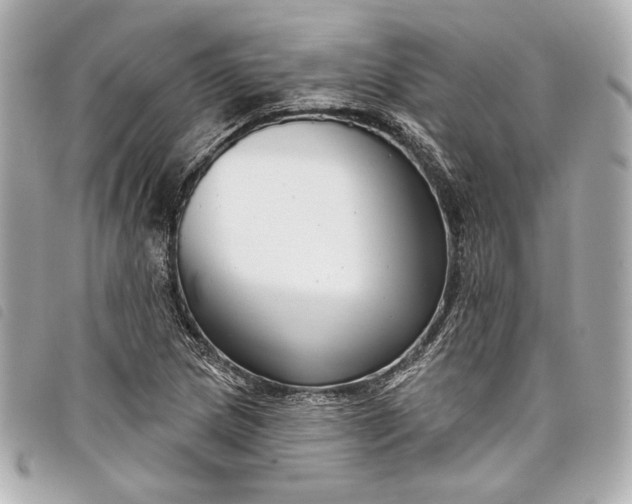 X0000098091217200804181226