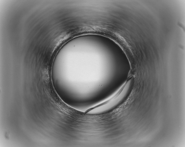 X0000098091218200804181226