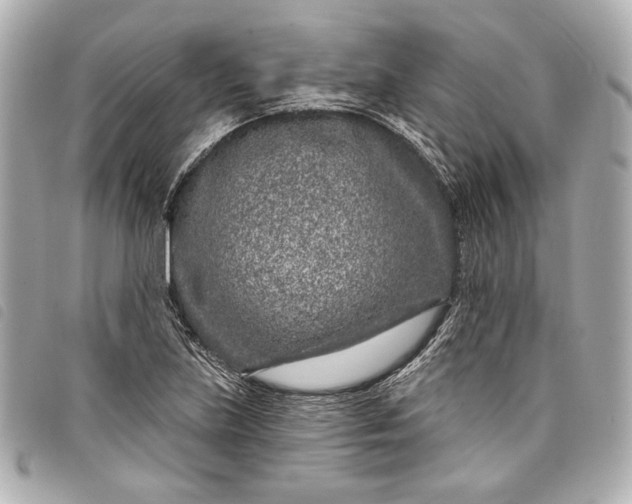X0000098091219200804181226