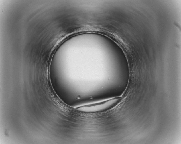 X0000098091220200804181226
