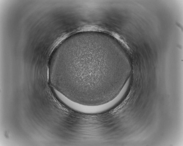 X0000098091221200804181226