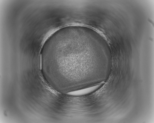 X0000098091223200804181226
