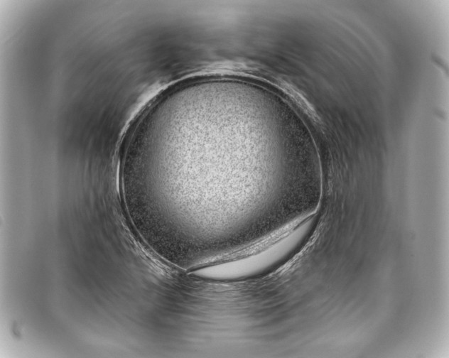 X0000098091224200804181226