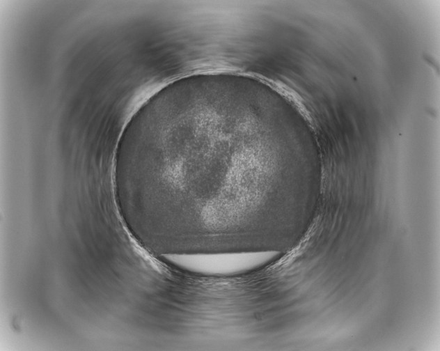X0000098091231200804181226