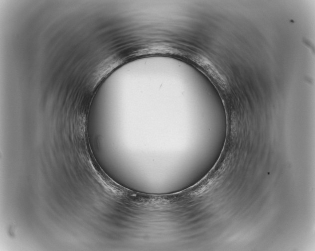 X0000098091233200804181227