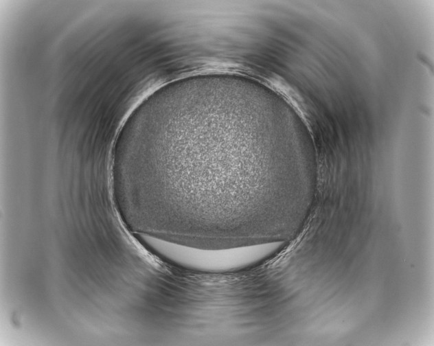 X0000098091235200804181227