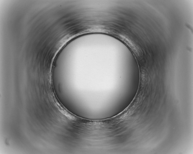 X0000098091236200804181227